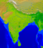 India Vegetation 3547x4000